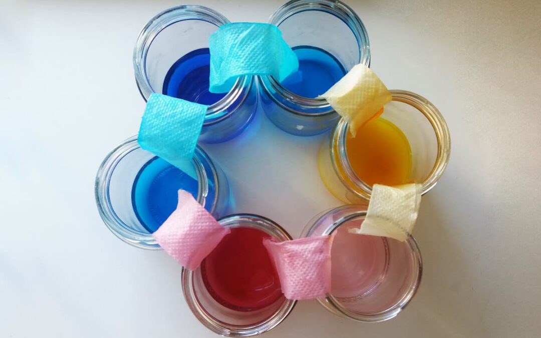 TEAMPANDA Experiment: Wasser auf Reisen