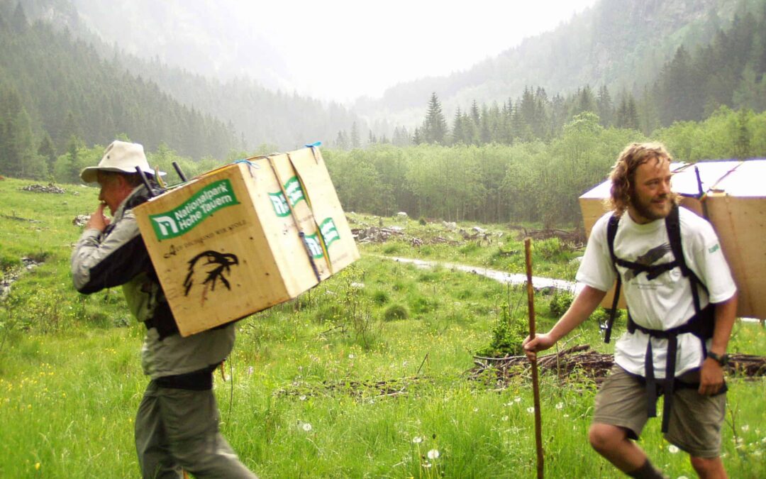 Bartgeierfreilassung_WWalter_MKnollseisen(c)WWF