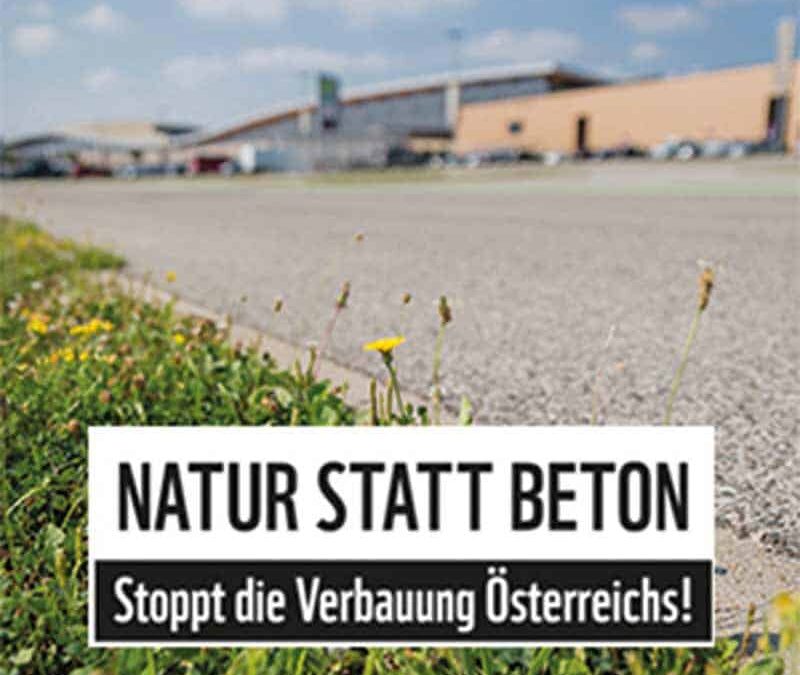 wwf-at-teaser-bodenschutz-natur-statt-beton-q800