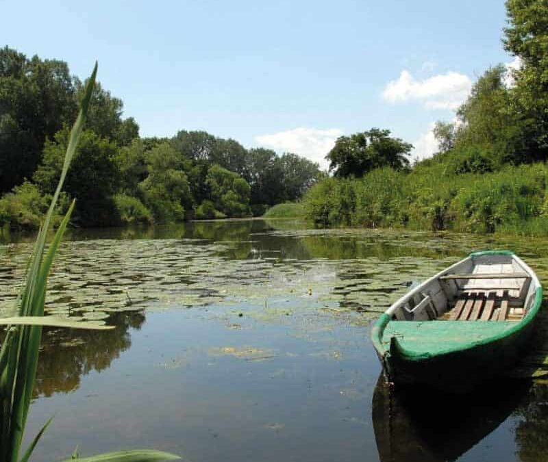 wwf-at-teaser-oesterreich3-q800