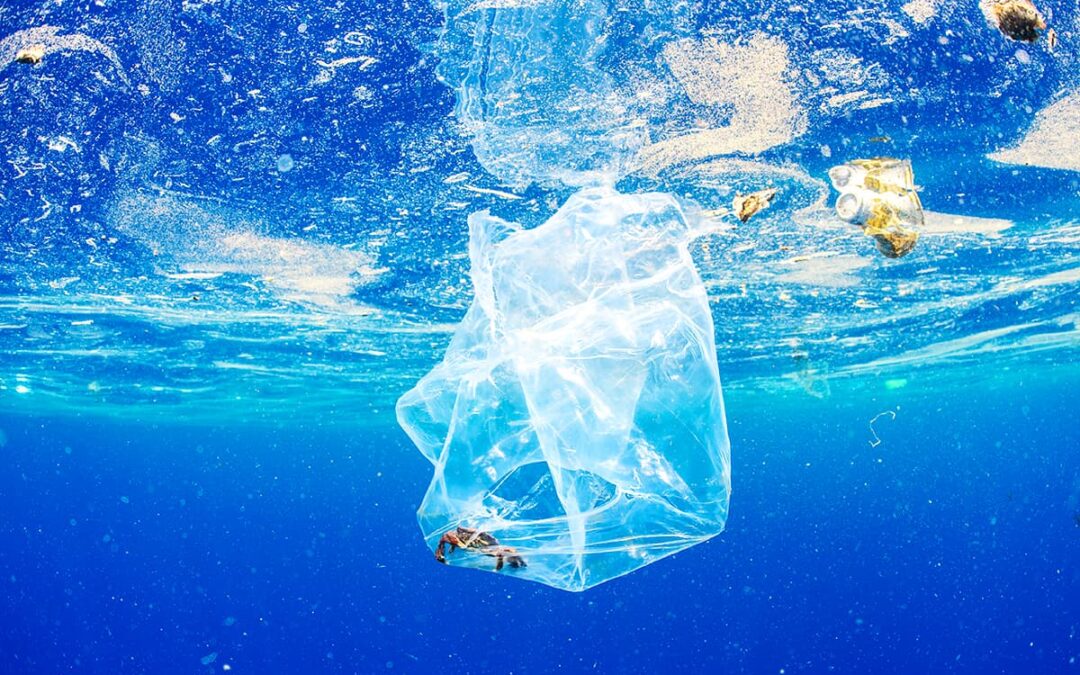 Plastikmüll im Meer © Alex Mustard – naturepl.com