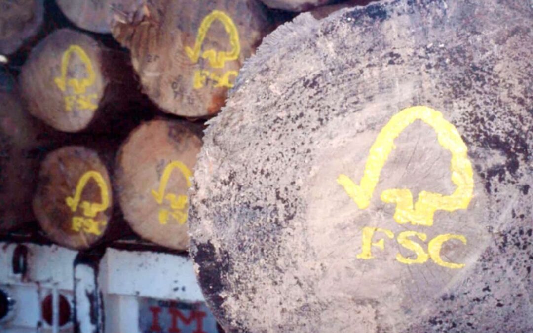 Holzstämme mit FSC Logo © by N.C. Turner/WWF-Canon