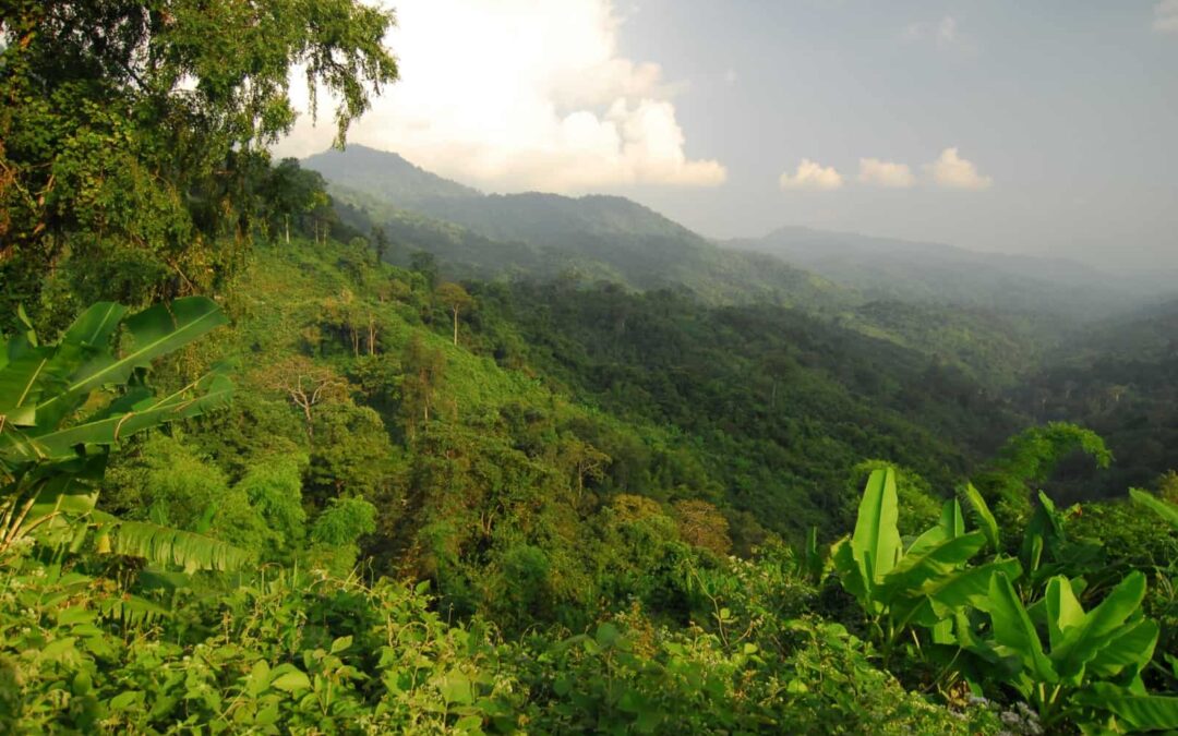 Das WWF-Projekt in der Dawna-Tenasserim-Region