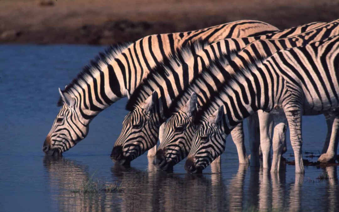 Wir verändern die Welt positiv.