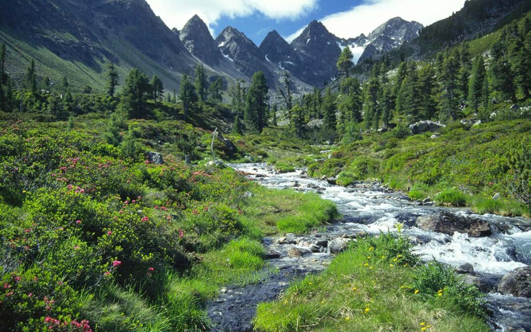 Die letzten Alpenflüsse schützen