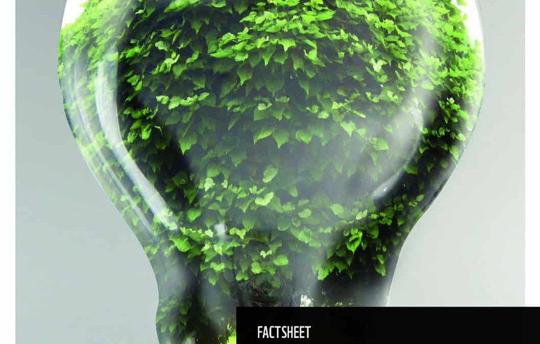 Factsheet Stromanbieter-Check 2020