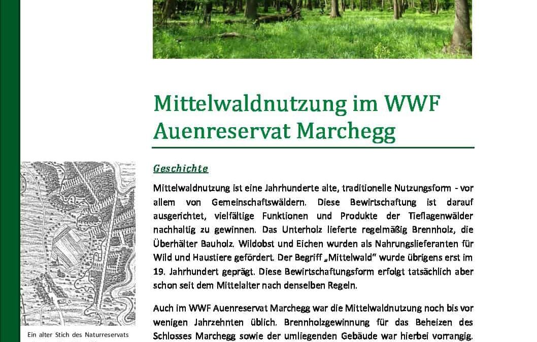 WWF Factsheet Mittelwald