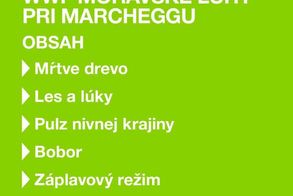 Folder dlhej verzii Prechádzka rezerváciou WWF Moravské luhy pri Marcheggu