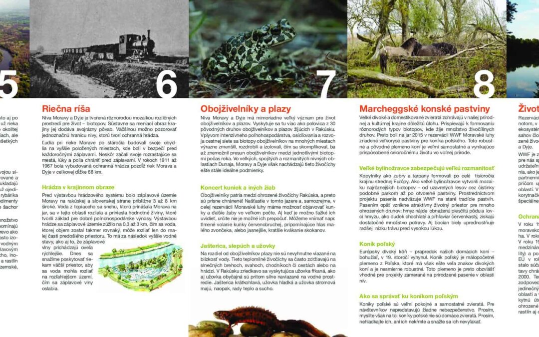 Folder kompaktnej verzii Prechádzka rezerváciou WWF Moravské luhy pri Marcheggu