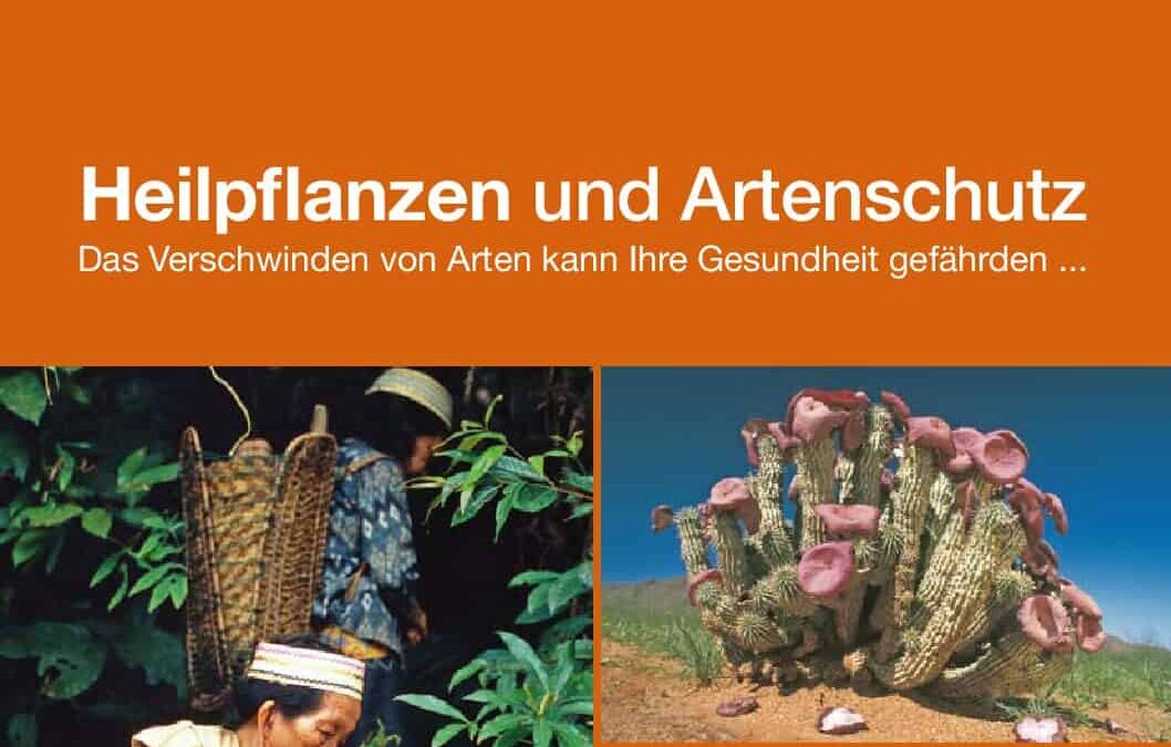 Info-Folder: Heilpflanzen und Artenschutz