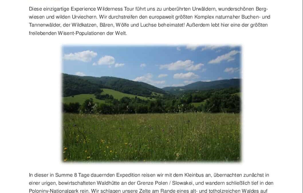 Infoblatt Experience Wilderness Tour Poloniny 2021