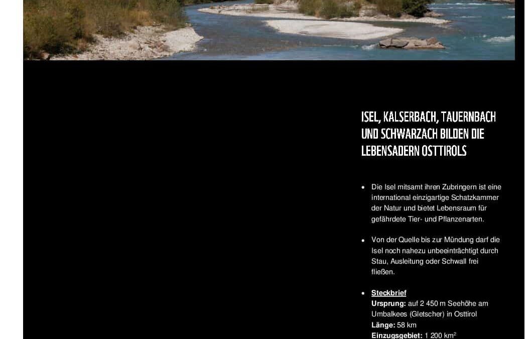 Isel Fact Sheet 2020