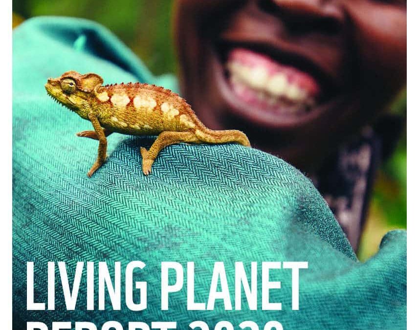 Living Planet Report 2020 – Deutsche Kurzfassung