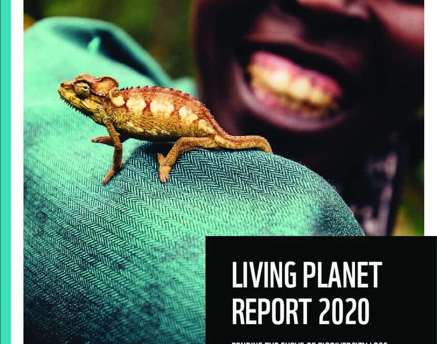 Living Planet Report 2020 komplett (englisch)