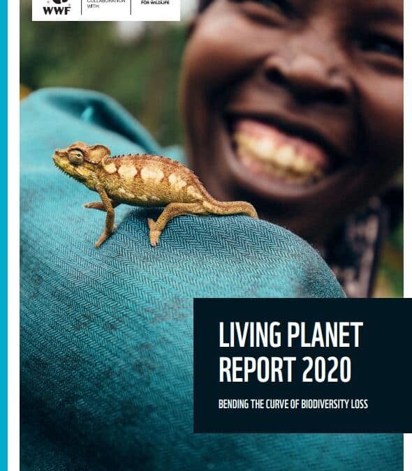 WWF Living Planet Report 2020