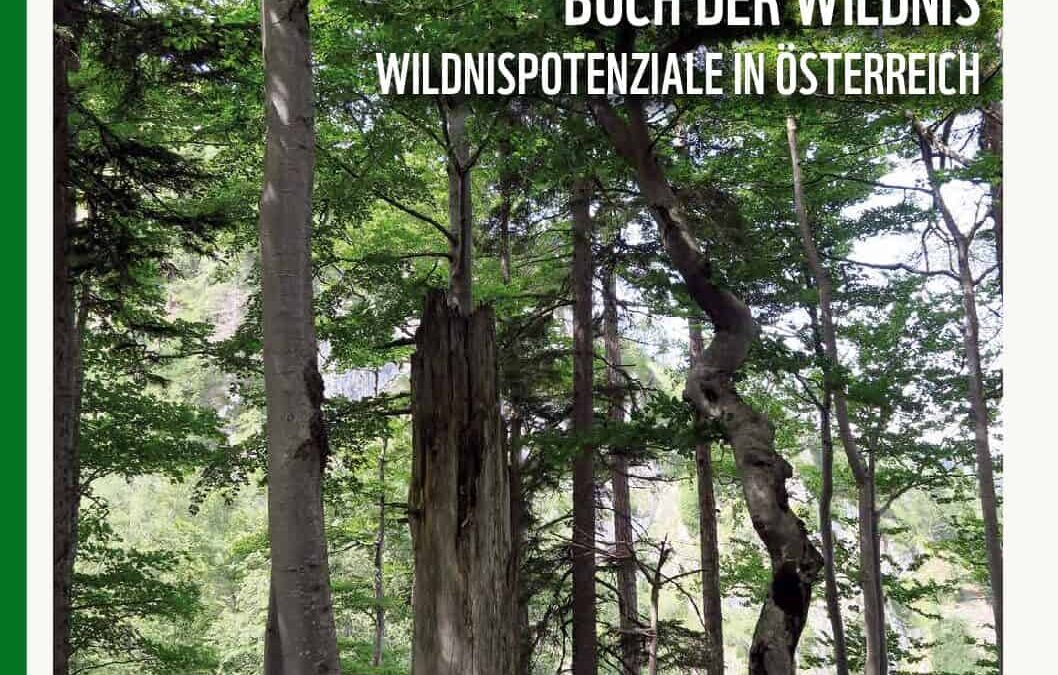 Buch der Wildnis