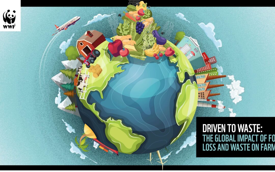 Driven to waste – full report