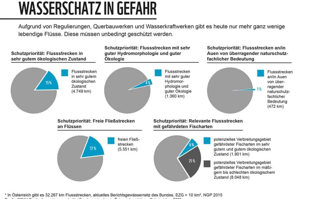 wwf-at_Grafik_Wasserschatz-in-Gefahr_BOKU-Flüsse-Studie