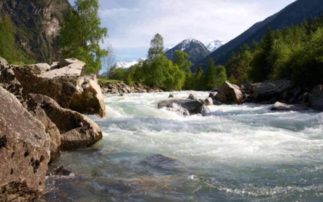 wwf-at_Oetztaler-Ache_1200x800