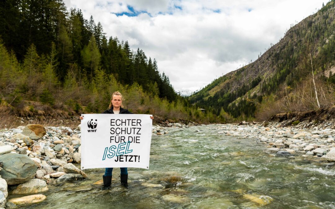 Der WWF fordert die Ausweisung der Isel samt Zubringer als Naturschutzgebiet (Bild – Marianne Götsch am Kalserbach) (c) Sebastian Frölich