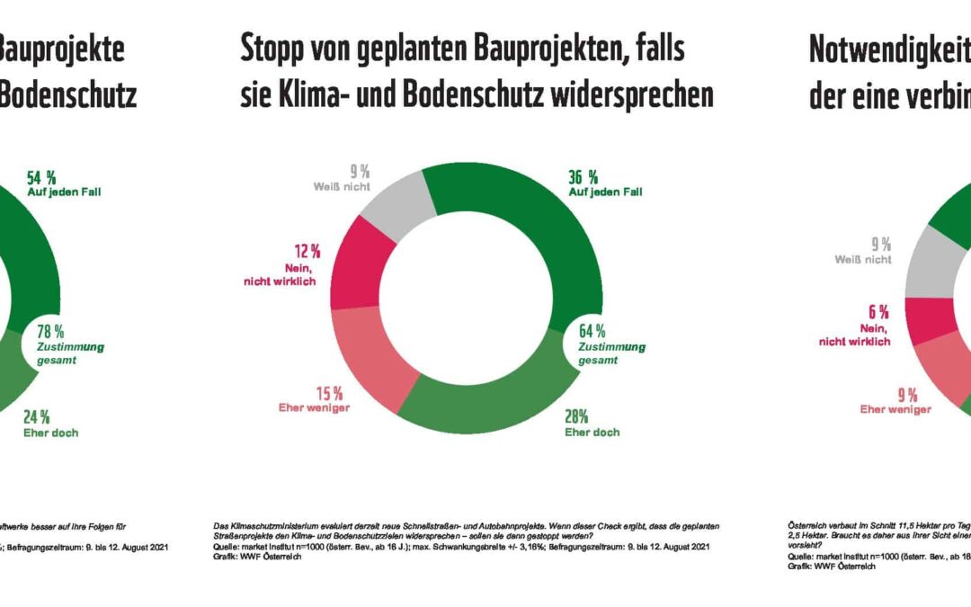 Grafik: Bodenverbrauch und Bauprojekte
