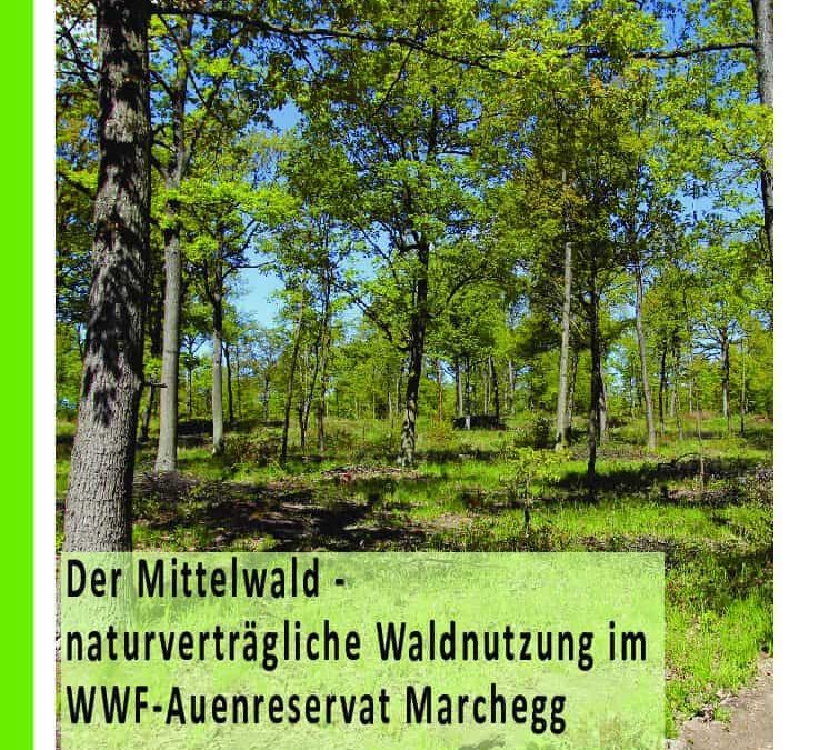 Denner Mittelwald Reservat Broschuere 2019 WWF