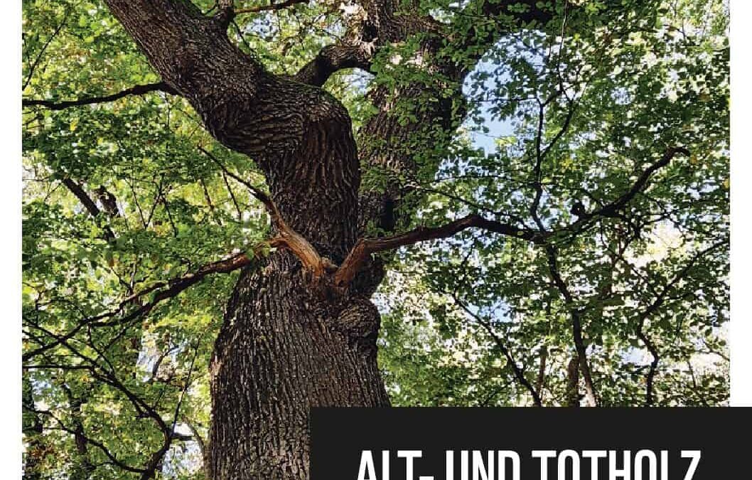 2021 WWF Alt und Totholz in der Praxis