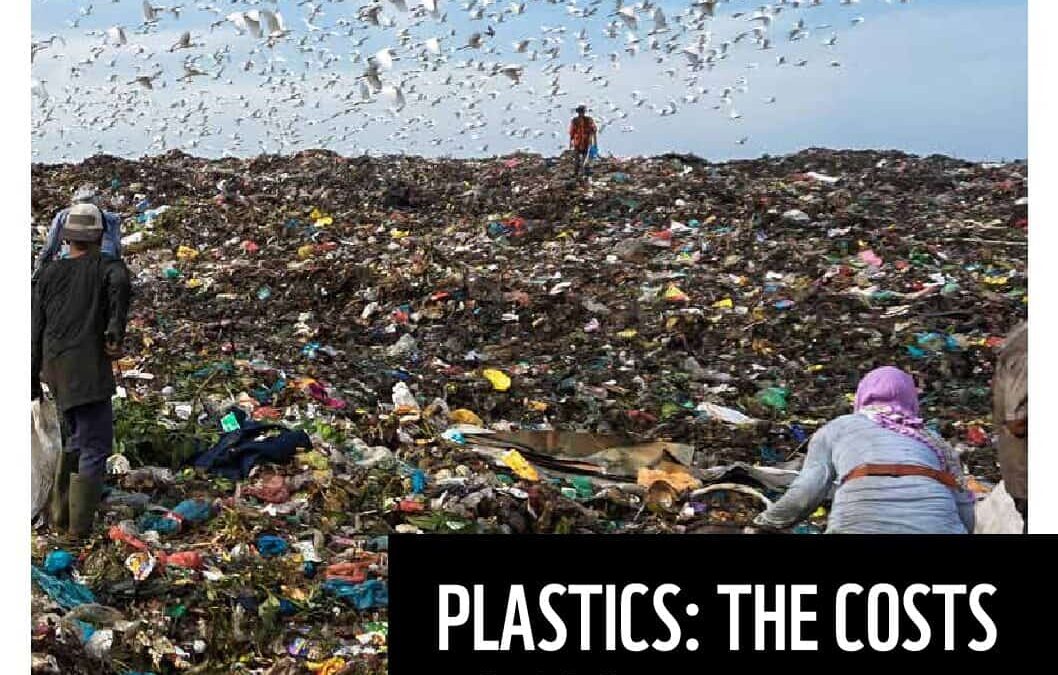 WWF Plastik-Report English