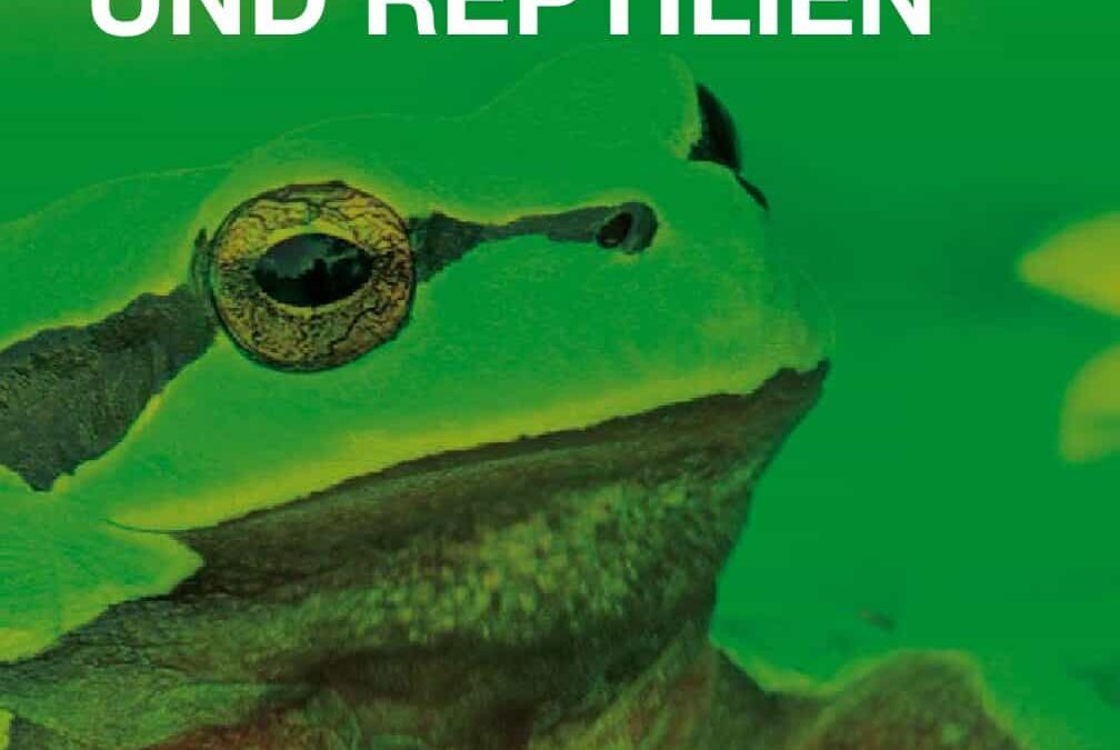 Auenreservat Information: Amphibien und Reptilien