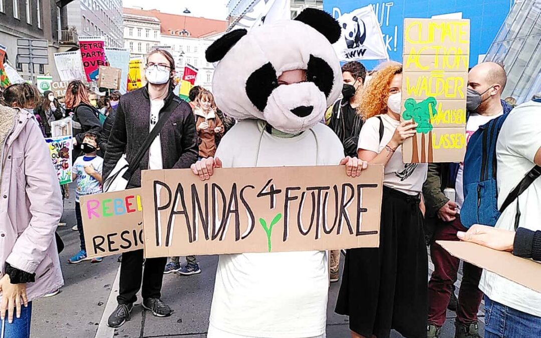Der WWF am weltweiten Klimastreik