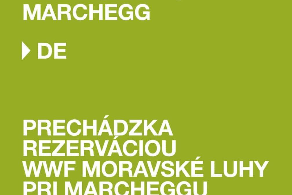 WWF-Auenreservat Marchegg: Unterwegs im WWF Auenreservat Marchegg