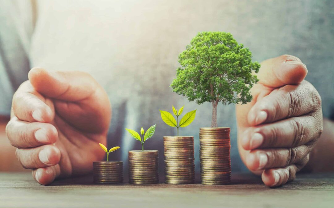 businessman protection money on table with tree. concept saving