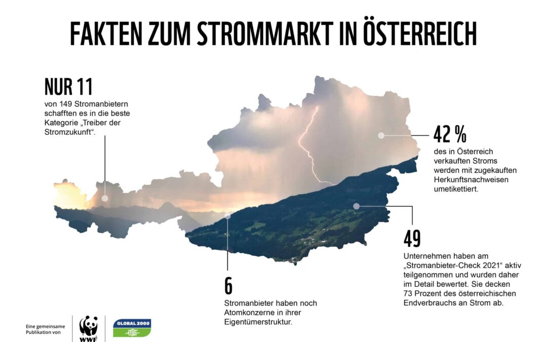 Grafik Stromanbieter-Check