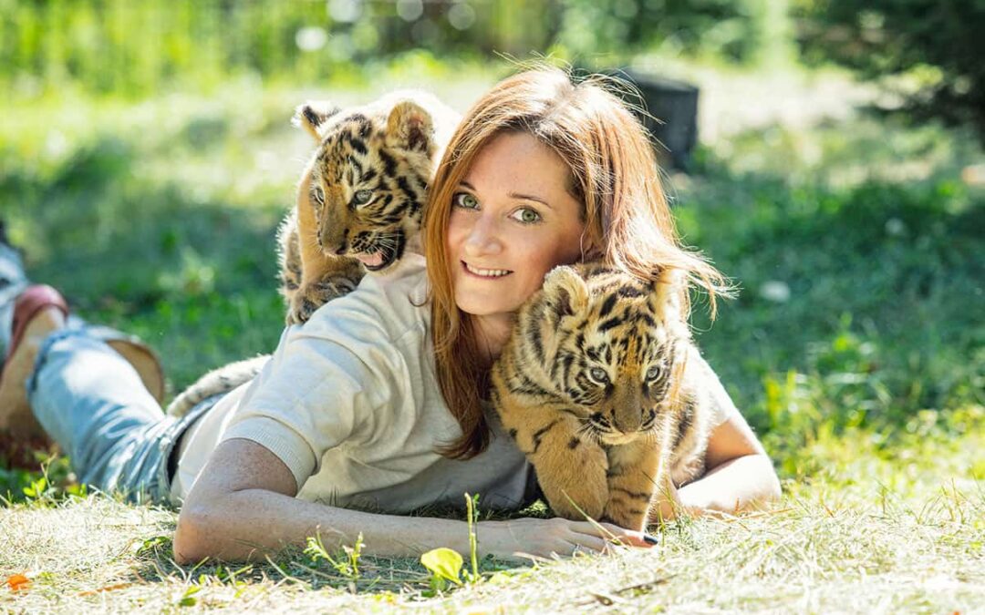 Frau kuschelt mit Tigerbabys(c)AdobeStock