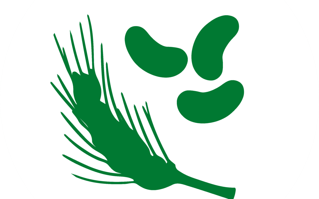 Pflanzliche Alternativen