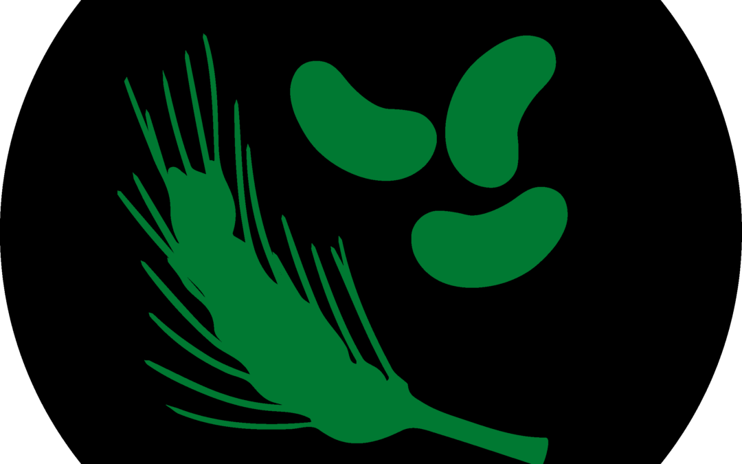 Pflanzliche Alternativen