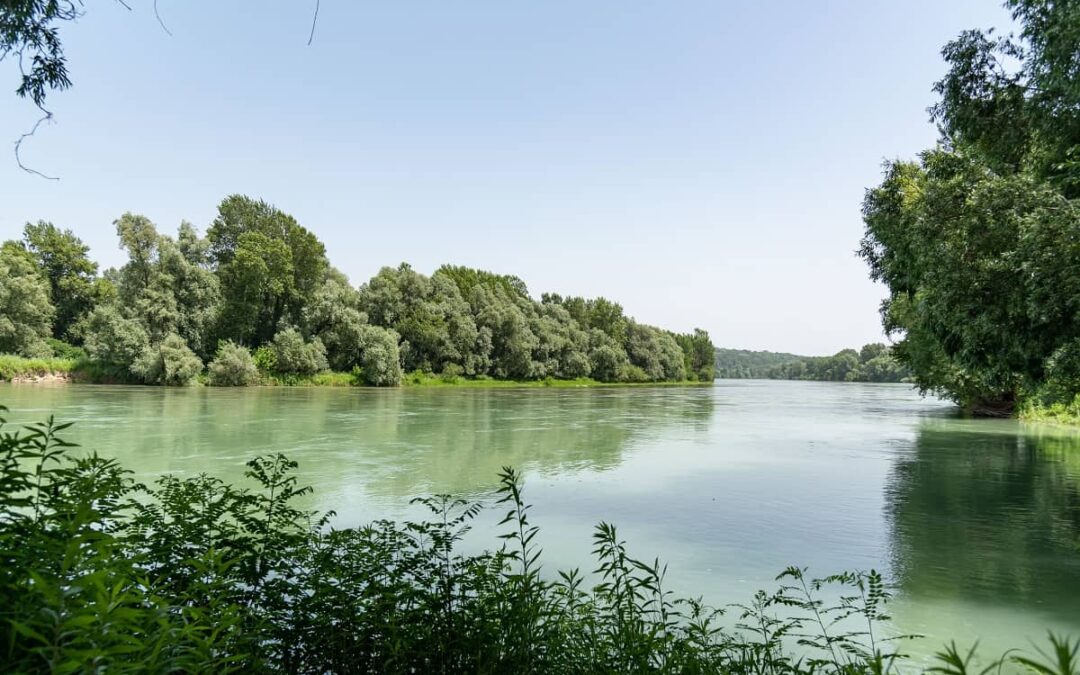 Blick auf deinen Teil des heutigen „Amazonas Europas“ (c) Sonja Lindberg