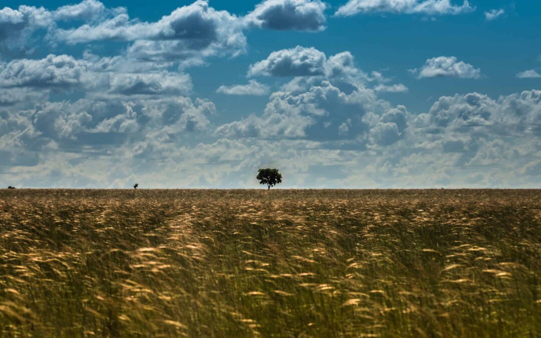 COLOMBIA : Orinoco River © Meridith Kohut/WWF-US