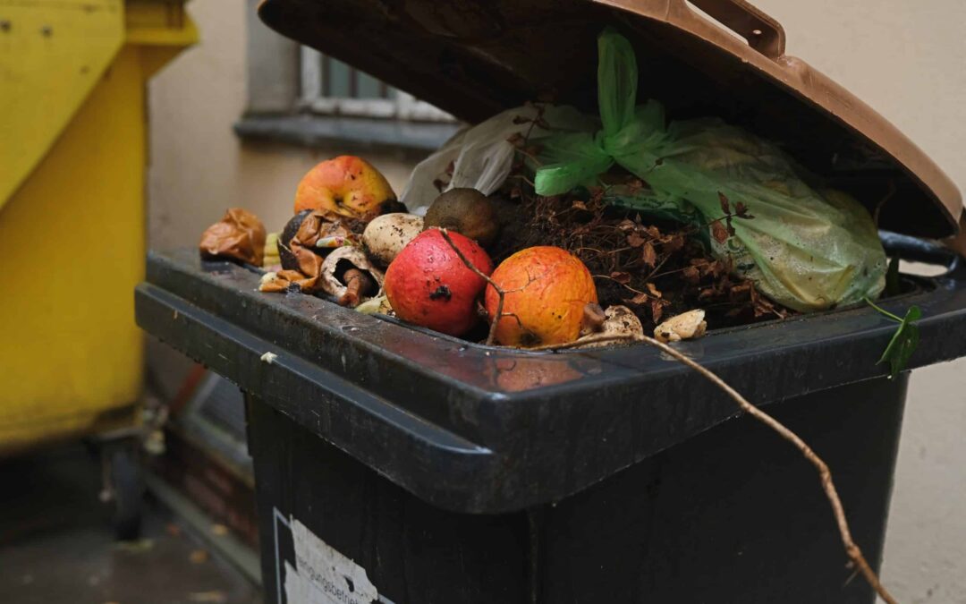 Organic waste bin filled with kitchen waste 01