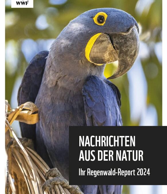 WWF Regenwald Report 2024
