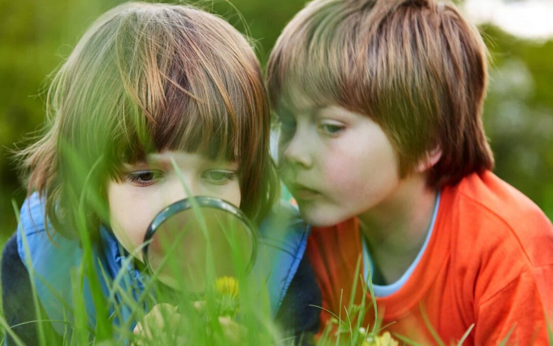 Natur-auf-der-Spur(c)AdobeStock_276075944