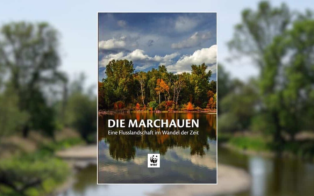 Die Marchauen_neues WWF Buch (c) Hintergrundbild: Tamara Greiner WWF
