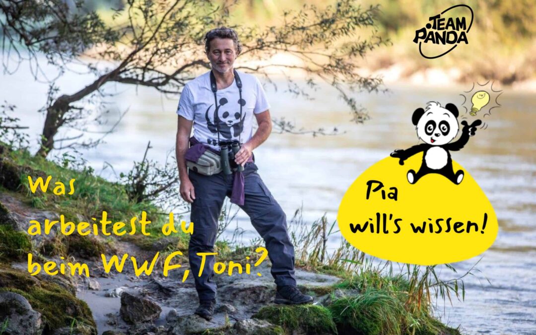 Toni Vorauer in den Tiroler Innauen