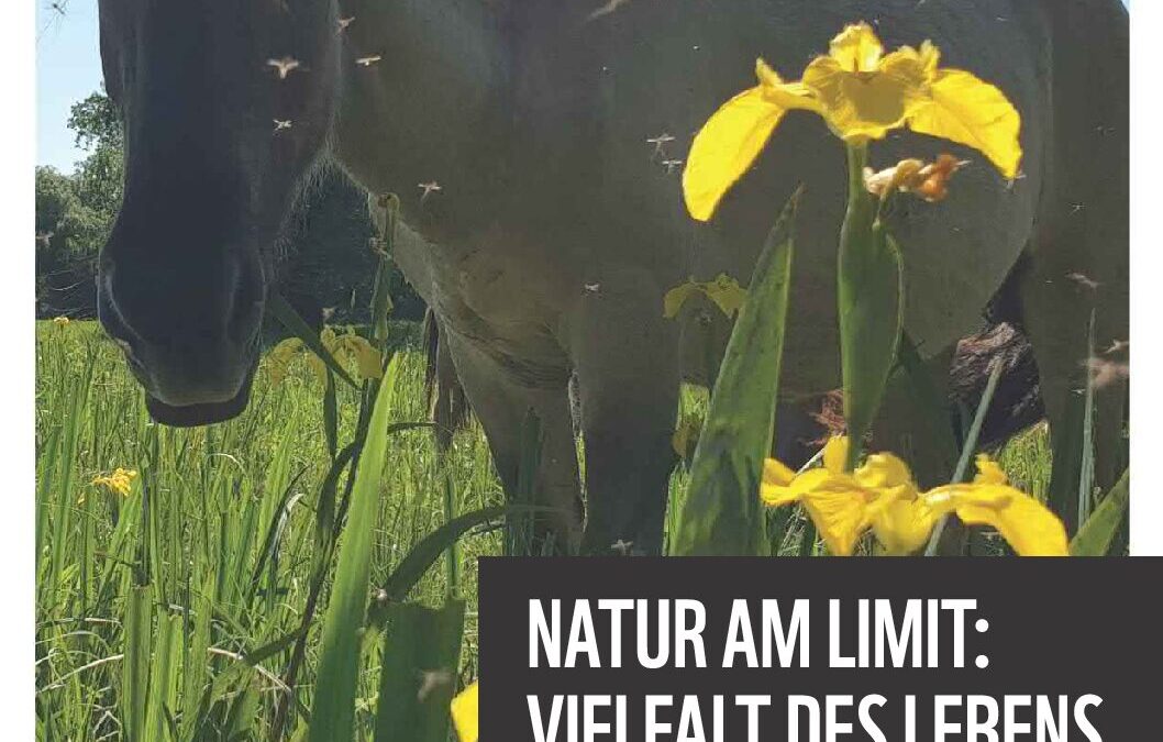 WWF_Positionspapier_Biodiversitaet-2022