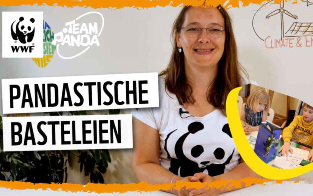 Pandastische Basteleien – mach mit! © WWF