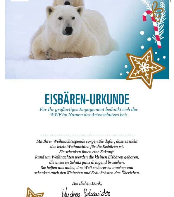 Urkunde Eisbär Weihnachten