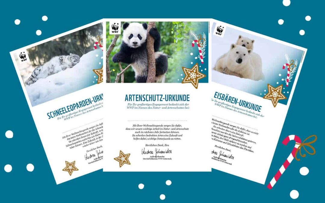 Urkunden Weihnachten