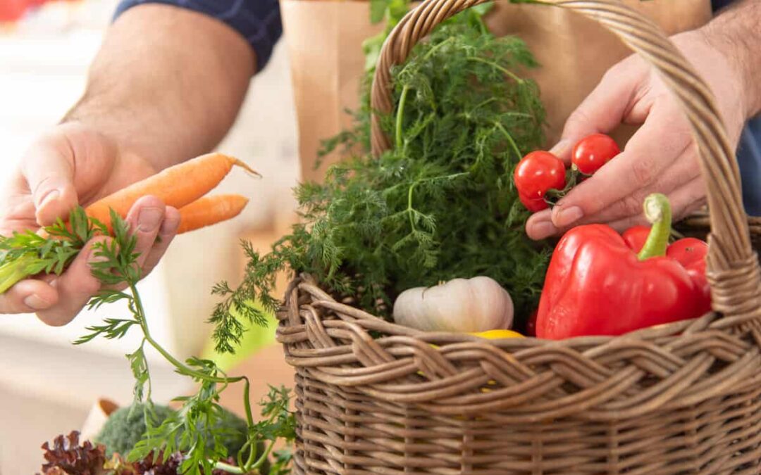 Biostudie_©WWF_VincentSufiyan (11)