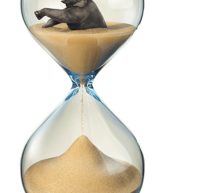 Sanduhr_Elefant-mit-Schatten(c)Agentur Unique Fessler