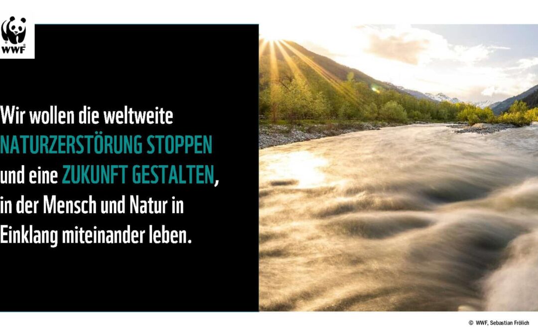 Kaunertal Konferenz 2023_Vortrag Karl Schellmann WWF_Energie